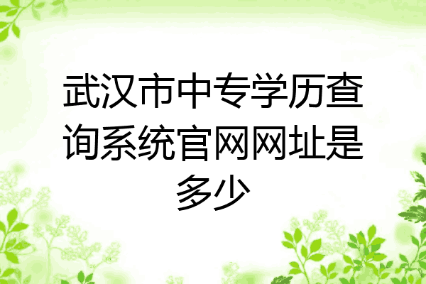 武汉市中专学历查询系统官网网址是多少