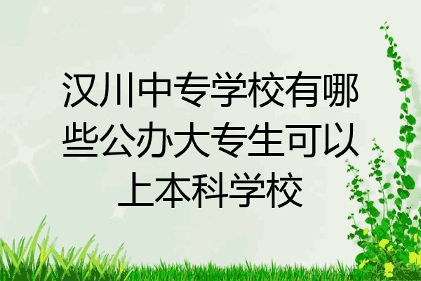 汉川中专学校有哪些公办大专生可以上本科学校