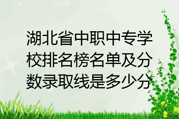 湖北省中职中专学校排名榜名单及分数录取线是多少分
