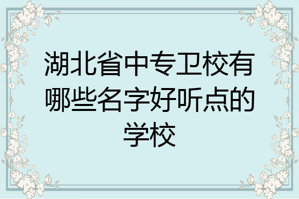 湖北省中专卫校有哪些名字好听点的学校