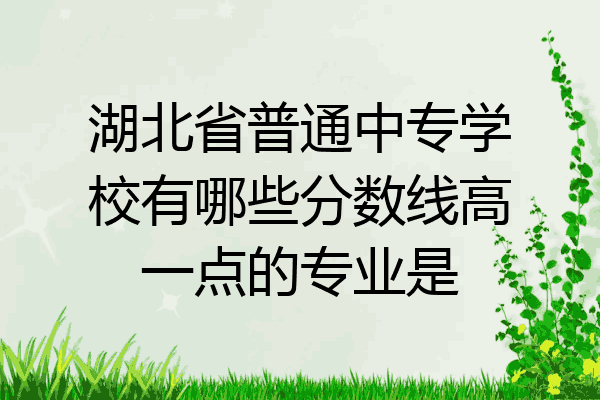 湖北省普通中专学校有哪些分数线高一点的专业是