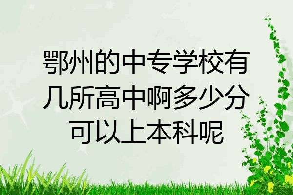 鄂州的中专学校有几所高中啊多少分可以上本科呢