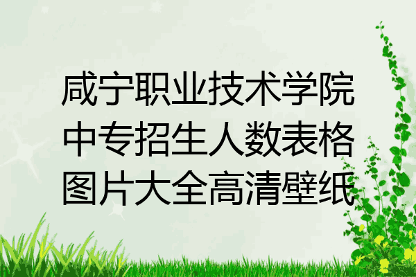 咸宁职业技术学院中专招生人数表格图片大全高清壁纸