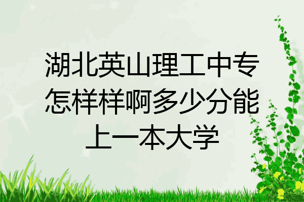 湖北英山理工中专怎样样啊多少分能上一本大学