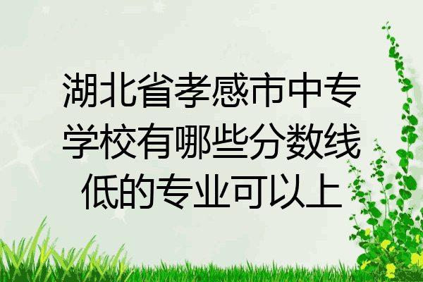 湖北省孝感市中专学校有哪些分数线低的专业可以上