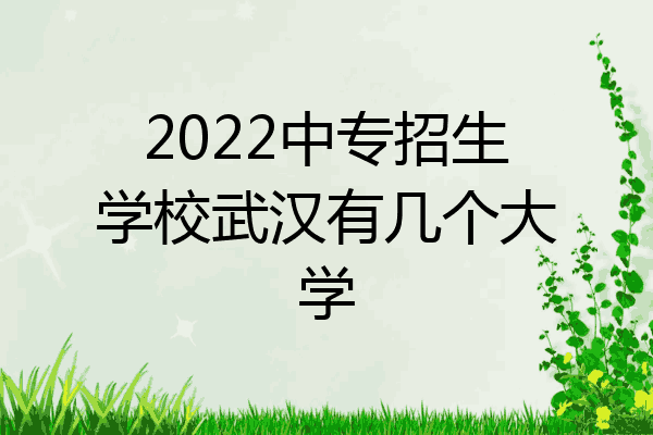 2022中专招生学校武汉有几个大学