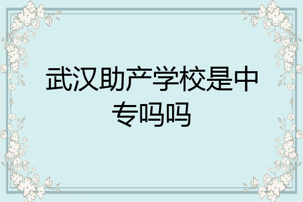 武汉助产学校是中专吗吗