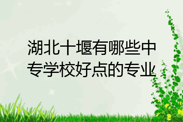 湖北十堰有哪些中专学校好点的专业