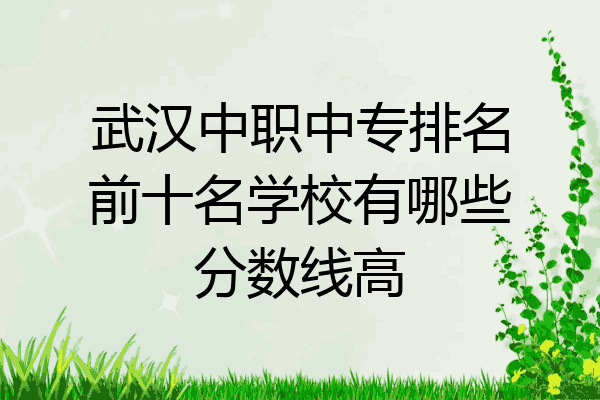 武汉中职中专排名前十名学校有哪些分数线高