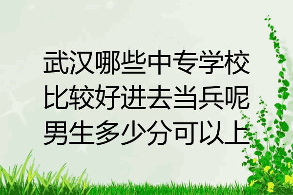 武汉哪些中专学校比较好进去当兵呢男生多少分可以上