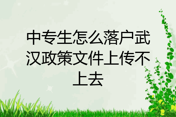 中专生怎么落户武汉政策文件上传不上去