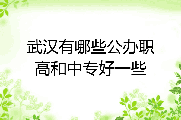 武汉有哪些公办职高和中专好一些
