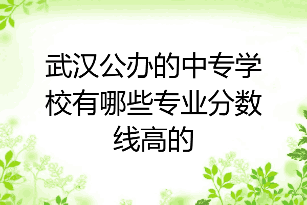 武汉公办的中专学校有哪些专业分数线高的