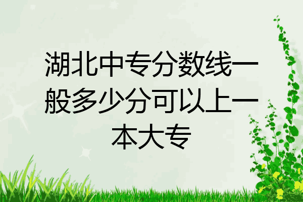 湖北中专分数线一般多少分可以上一本大专