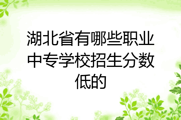 湖北省有哪些职业中专学校招生分数低的