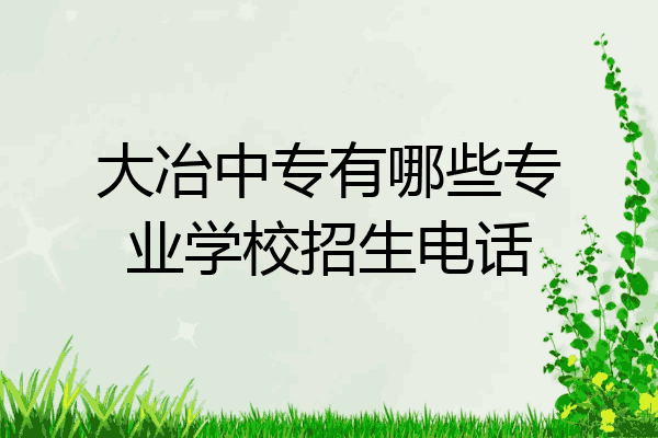 大冶中专有哪些专业学校招生电话