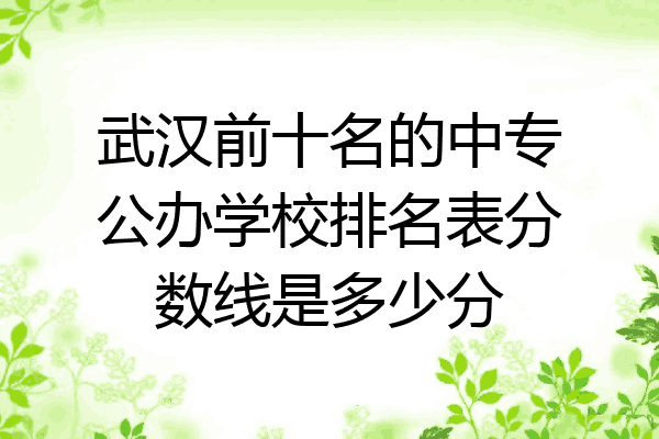 武汉前十名的中专公办学校排名表分数线是多少分