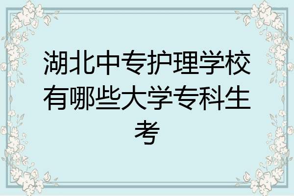 湖北中专护理学校有哪些大学专科生考