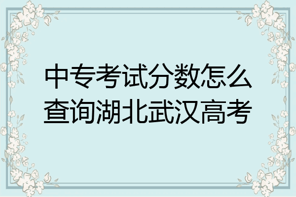 中专考试分数怎么查询湖北武汉高考