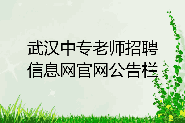 武汉中专老师招聘信息网官网公告栏
