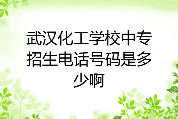 武汉化工学校中专招生电话号码是多少啊