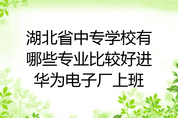 湖北省中专学校有哪些专业比较好进华为电子厂上班