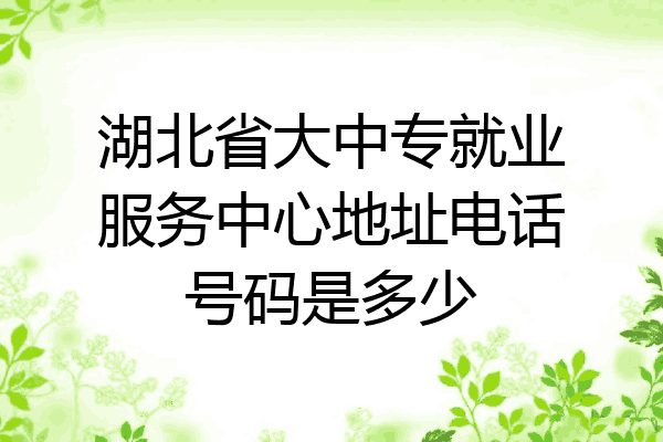 湖北省大中专就业服务中心地址电话号码是多少