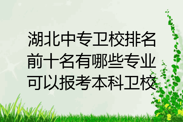 湖北中专卫校排名前十名有哪些专业可以报考本科卫校