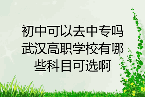 初中可以去中专吗武汉高职学校有哪些科目可选啊