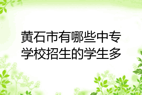 黄石市有哪些中专学校招生的学生多