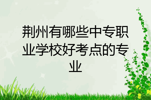 荆州有哪些中专职业学校好考点的专业