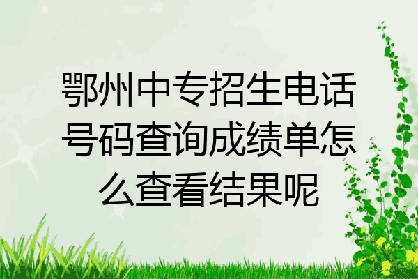 鄂州中专招生电话号码查询成绩单怎么查看结果呢