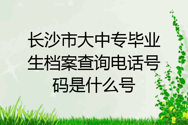 长沙市大中专毕业生档案查询电话号码是什么号