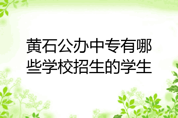 黄石公办中专有哪些学校招生的学生
