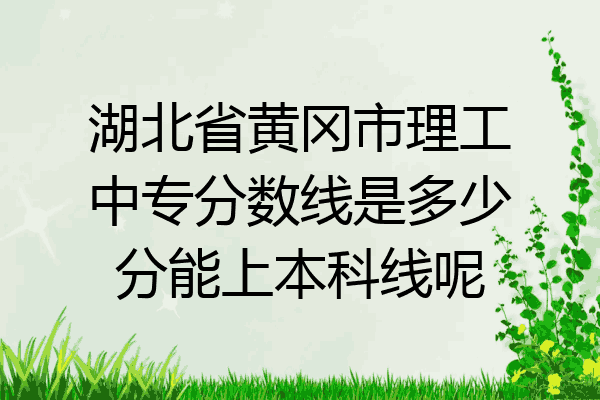 湖北省黄冈市理工中专分数线是多少分能上本科线呢