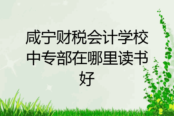 咸宁财税会计学校中专部在哪里读书好