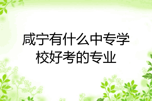 咸宁有什么中专学校好考的专业