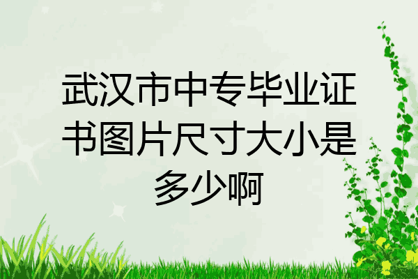 武汉市中专毕业证书图片尺寸大小是多少啊