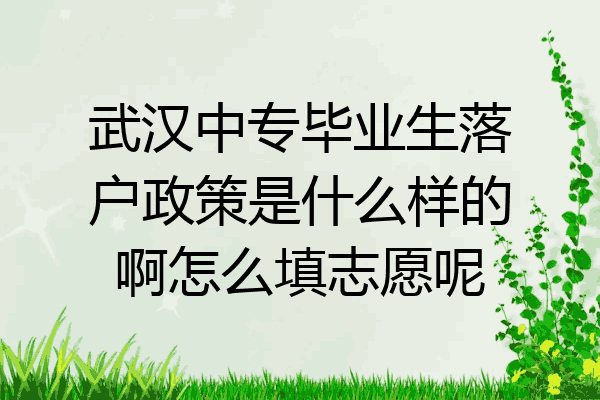 武汉中专毕业生落户政策是什么样的啊怎么填志愿呢