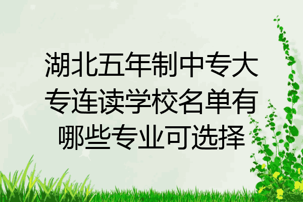 湖北五年制中专大专连读学校名单有哪些专业可选择