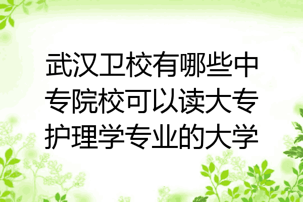 武汉卫校有哪些中专院校可以读大专护理学专业的大学
