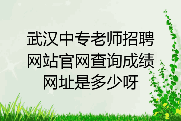 武汉中专老师招聘网站官网查询成绩网址是多少呀