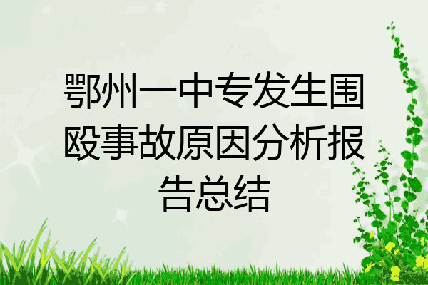 鄂州一中专发生围殴事故原因分析报告总结