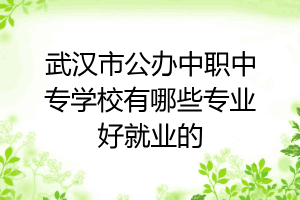 武汉市公办中职中专学校有哪些专业好就业的