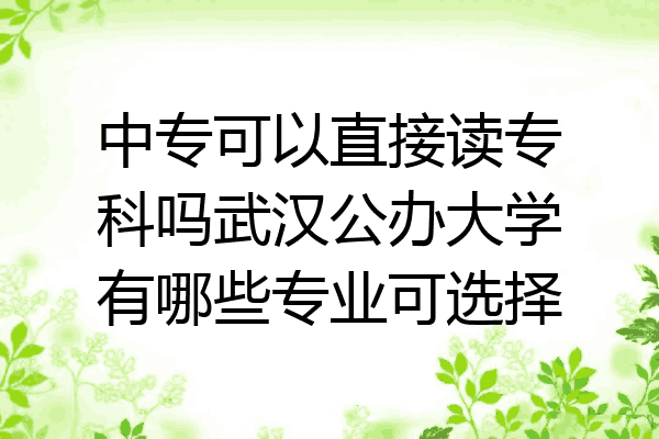 中专可以直接读专科吗武汉公办大学有哪些专业可选择