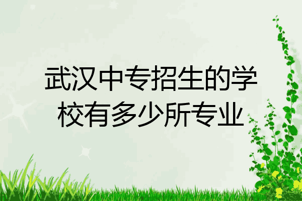 武汉中专招生的学校有多少所专业