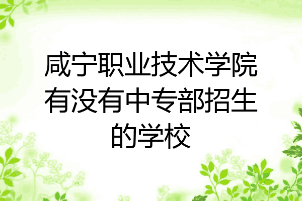 咸宁职业技术学院有没有中专部招生的学校