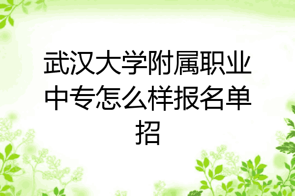 武汉大学附属职业中专怎么样报名单招