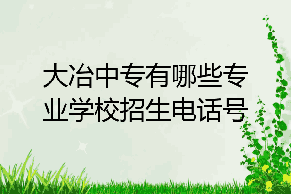大冶中专有哪些专业学校招生电话号