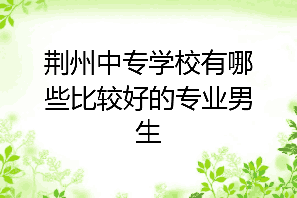 荆州中专学校有哪些比较好的专业男生